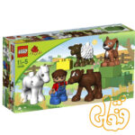 5646