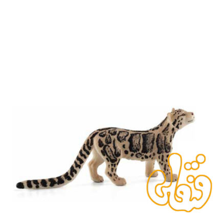 پلنگ Clouded Leopard 387172