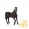 اسب شاهزاده عرب Arabian Stallion 387069