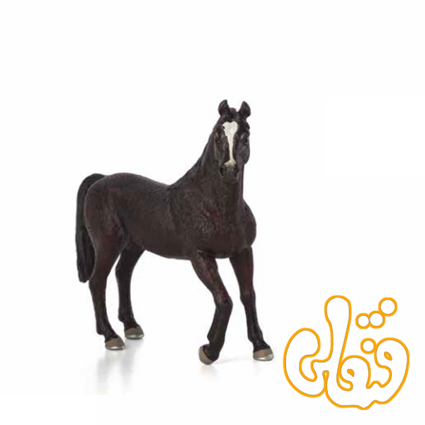 387069 اسب شاهزاده عرب Arabian Stallion 387069