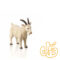 بز نر Billy Goat 387077