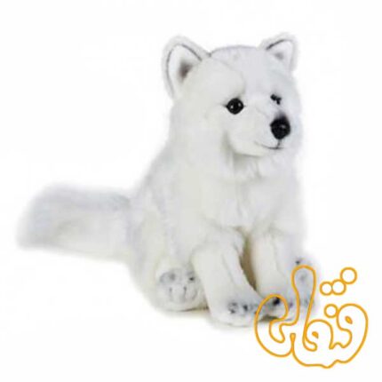 روباه قطبی 770728