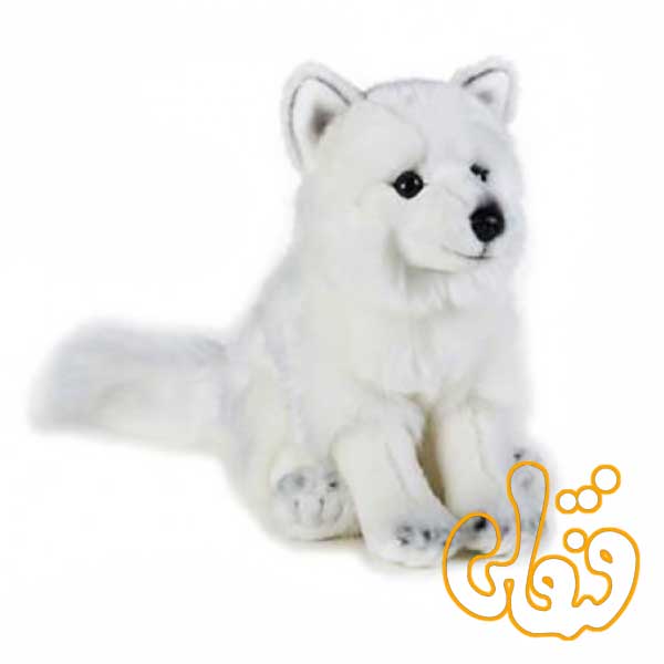 770728 روباه قطبی 770728