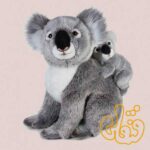 کوالا با بچه 770761