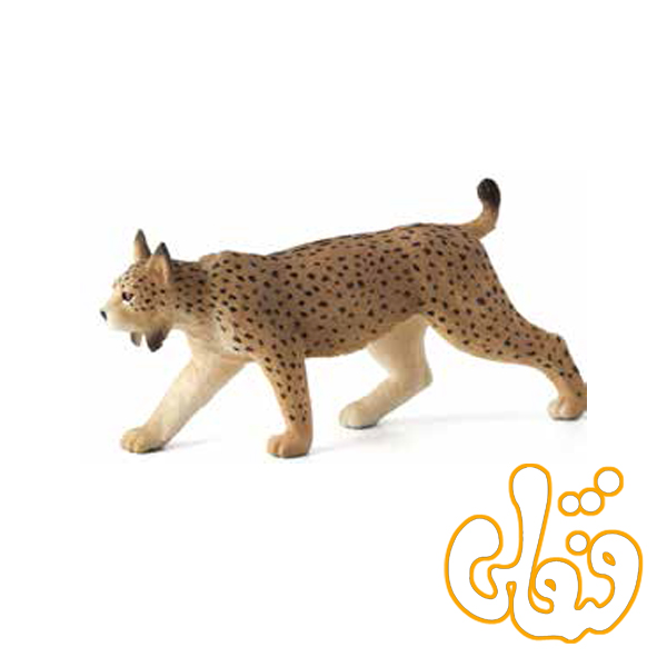 2 سیاه گوش ایبری Iberian Lynx 387064