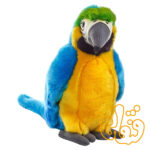 طوطی گرمسیری آرا Pappagalli Tropicali 770793