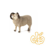 گوسفند قوچ نر Sheep Ram 387097