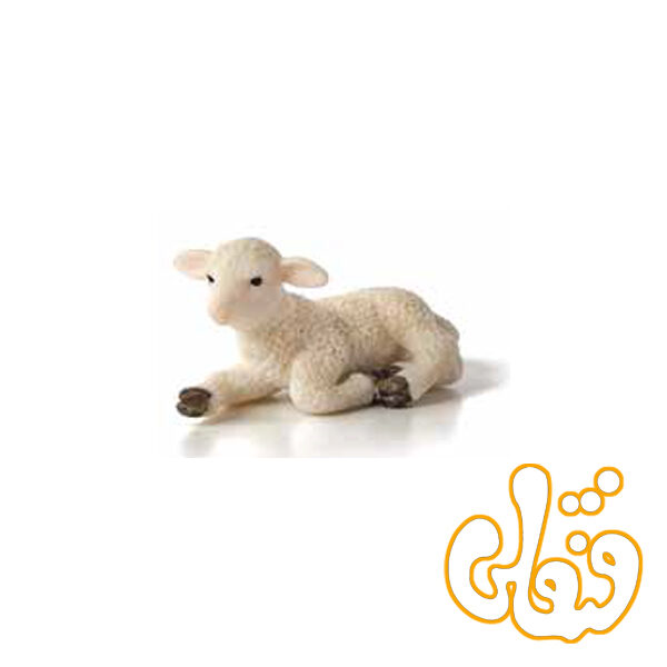 9 بره نشسته Lamb Lying Down 387099