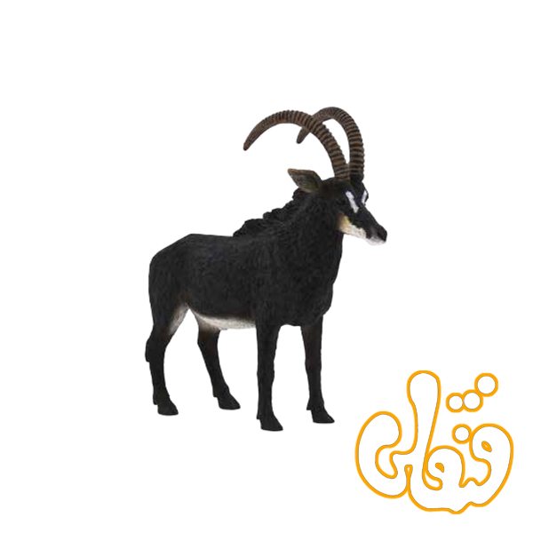 15 بز کوهی بزرگ سیاه Giant Sable Antelope 387145