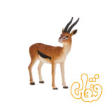 غزال تامسون نر Thomson’s Gazelle Male 387122