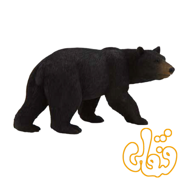 17 خرس سیاه آمریکایی American Black Bear 387112