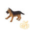 توله سگ ژرمن شپر German Shepherd Puppy 387261