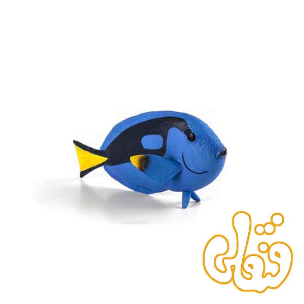 22 ماهی آبی تانگ Blue Tang Fish 387269 - Image 1