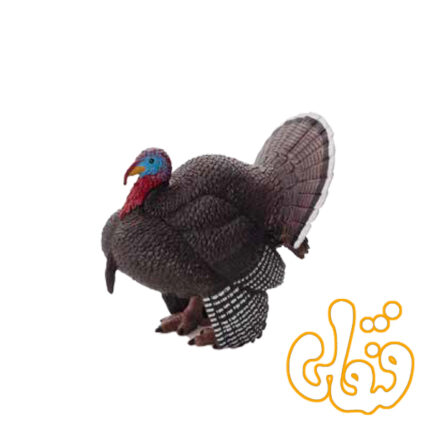 بوقلمون نر Male Turkey 387285