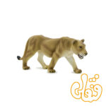 شیر ماده 387010 Lioness