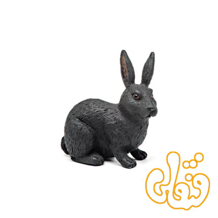 خرگوش سیاه 387029 Black Rabbit