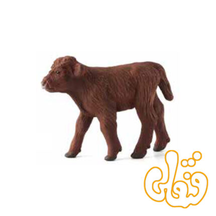 گوساله کوهستانی Highland Calf 387202