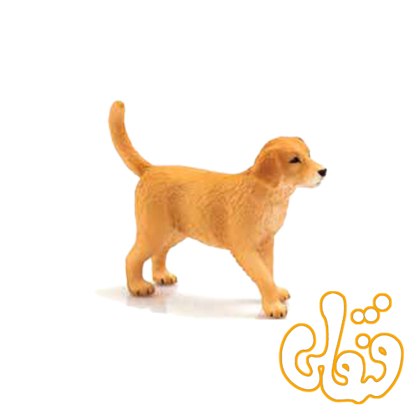 42 توله سگ زنده یاب طلایی Golden Retriever Puppy 387205