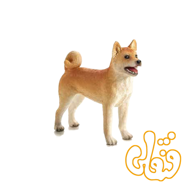 85 سگ شیبا اینو Shiba Inu 387140
