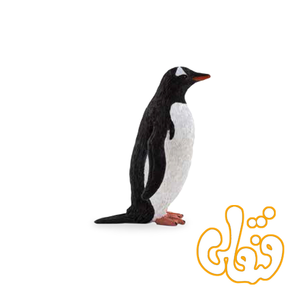 87 پنگوئن جنتو Gentoo Penguin 387184