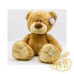 خرس مهربون 258004