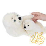 فک قطبی با بچه Foca Con Baby 692238 - Image 3