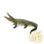 کروکدیل با آرواره مفصل دار Crocodile with Articulated Jaw 387162