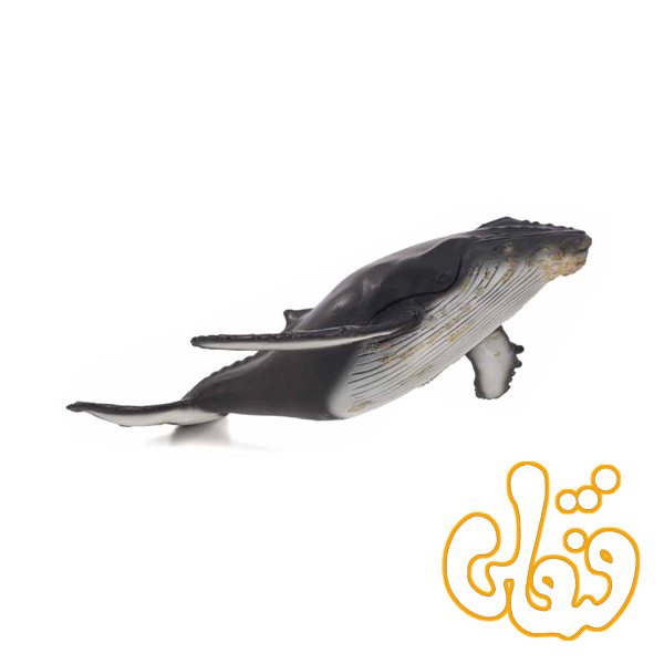 387277 وال لوکس کوهان دار Humpback Whale Deluxe 387277