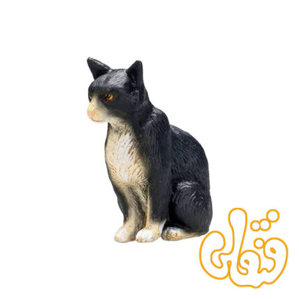 گربه نشسته سیاه و سفید Cat Sitting Black and White 387371