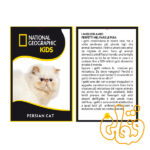 عروسک گربه پرشین Persian Cat 770670 - Image 2