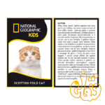 عروسک گربه اسکاتلندی Scottish Fold Cat 770673 - Image 2