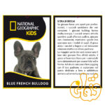 عروسک سگ بولداگ فرانسوی Blue French Bulldog 770681 - Image 2