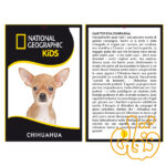 عروسک سگ چیوهوا Chihuahua 770683 - Image 2