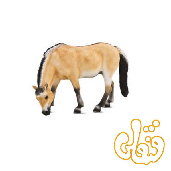 387148 اسب فیجر Fjord Horse 387148