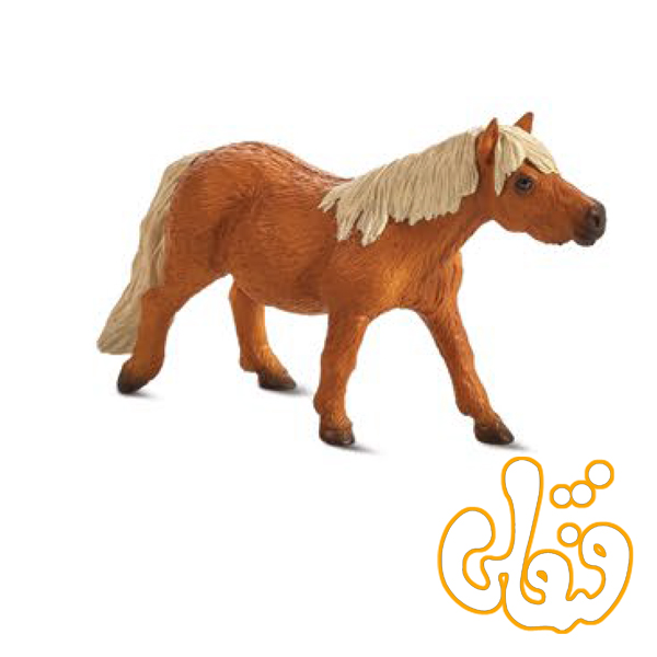 387231 کره اسب شتلند Shetland Pony 387231