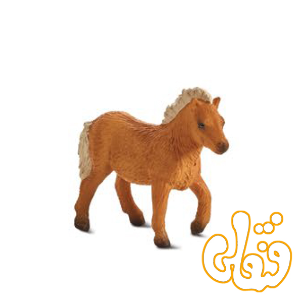 387232 کره اسب کوتاه شتلند Shetland Foal 387232