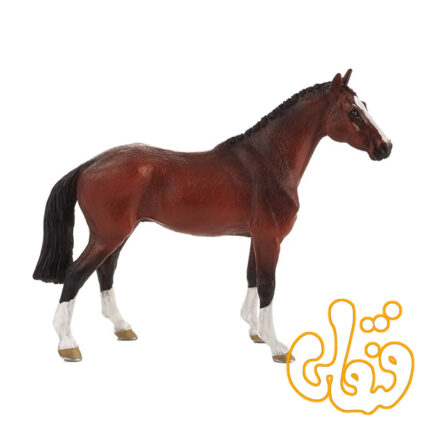 اسب هلندی اهلی Dutch Warmblood 387294