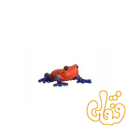 قورباغه درختی سمی Poison Dart Tree Frog 381016