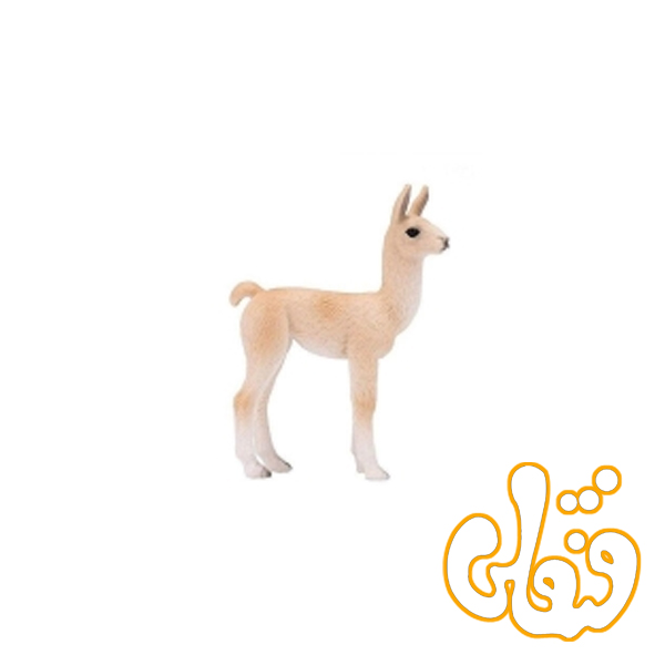 387392 بچه لاما Llama Baby 387392