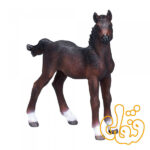 کره اسب هانوفر Hanoverian Foal Baby 381018 - Image 3