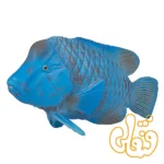 فیگور ماهی گروپر آبی موجو Blue Groper 387356 - Image 4