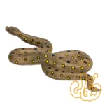 فیگور مار آناکوندا سبز موجو Green Anaconda 381007 - Image 2