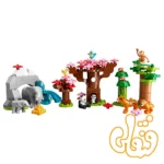 ساختنی لگو داپلو حیوانات وحشی آسیایی Wild Animals of Asia 10974 - Image 2
