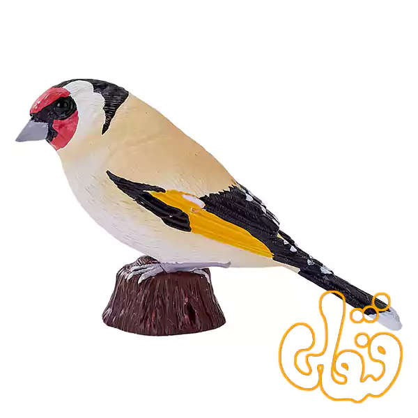 فیگور فنچ طلایی اروپایی مزرعه موجو Farmland European Goldfinch 381110 فیگور فنچ طلایی اروپایی مزرعه موجو Farmland European Goldfinch 381110