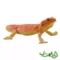 فیگور اژدهای ریش‌دار موجو Bearded Dragon 381096