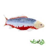 فیگور ماهی کوی کارپر – آساگی موجو Koi Carp - Asagi 381100 - Image 3