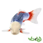 فیگور ماهی کوی کارپر – آساگی موجو Koi Carp - Asagi 381100 - Image 2