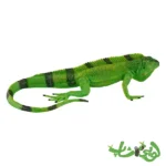 فیگور ایگوانا موجو Iguana 381095 - Image 4