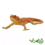 فیگور اژدهای ریش‌دار موجو Bearded Dragon 381096 - Image 2