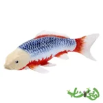فیگور ماهی کوی کارپر – آساگی موجو Koi Carp - Asagi 381100
